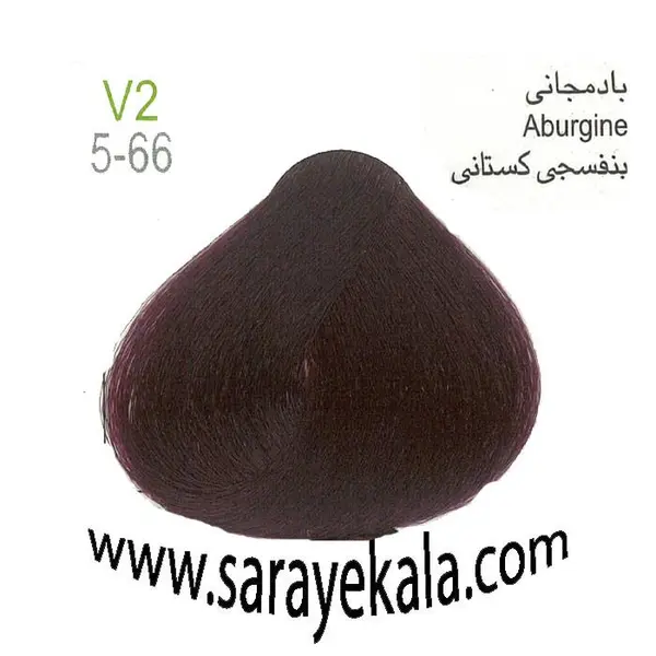 رنگ مو آرکیا بادمجانی V2 به شماره 5.66در حجم 100 میل - 2