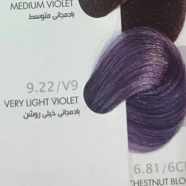 رنگ مو بیول سری PURPLE شماره 9.22 حجم 100 میلی لیتر رنگ بادمجانی خیلی روشن - 5