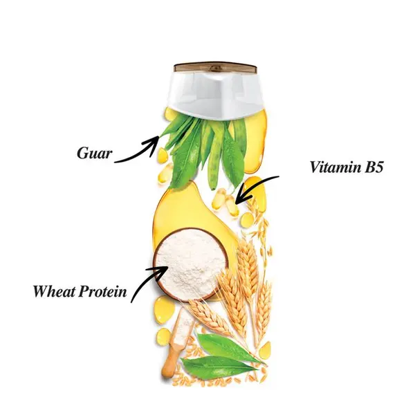 شامپو ترمیم کننده مو اکتیو مدل موهای آسیب دیده Wheat Protein حجم 350 میلی لیتر - 2