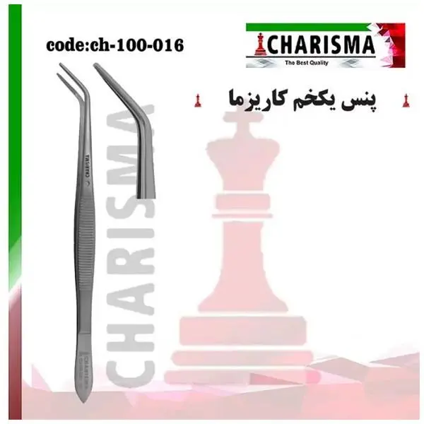 پنس یکخم کاریزما - 2