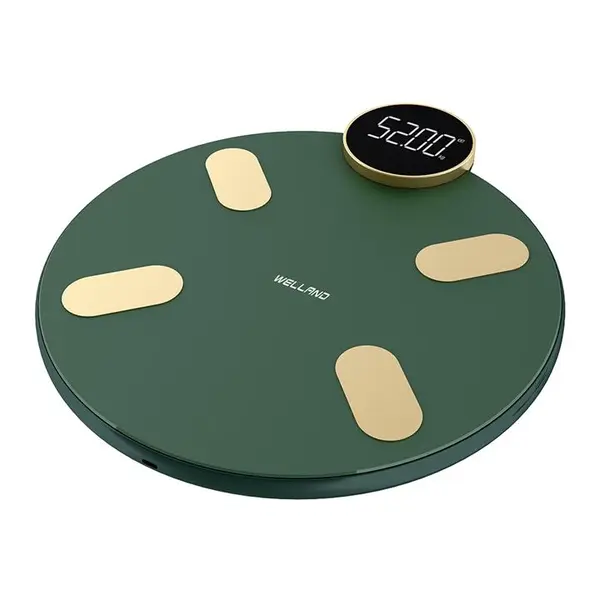 ترازو هوشمند شیائومی هایلو  Haylou Smart Body Fat Scale CM01 - 3