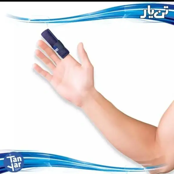 آتل انگشت کوتاه 3111  تن یار - 2