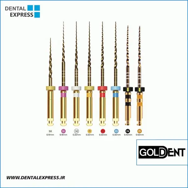 فایل روتاری طلایی گلدنت | Goldent – Rotary NITI File - 4