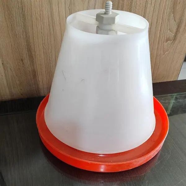 دانخوری بلدرچین - 2