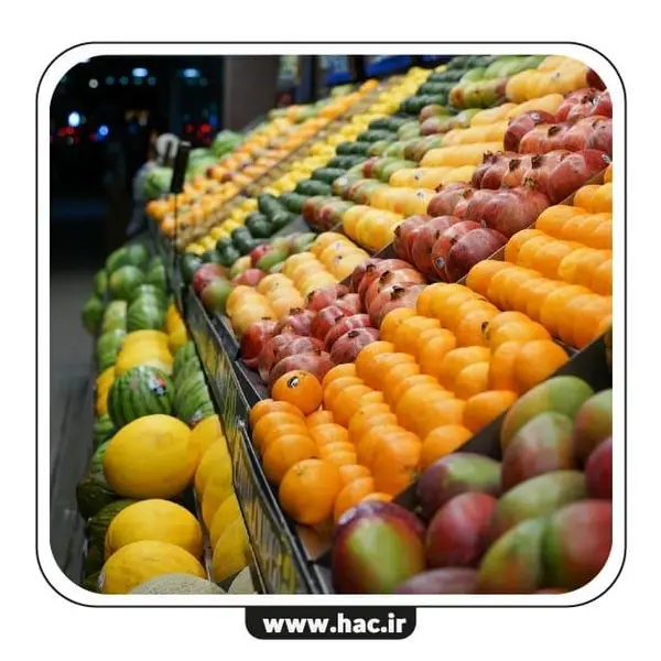 نرم افزار حسابداری مخصوص میوه و تره بار نسخه ساده نشر هلو - 4