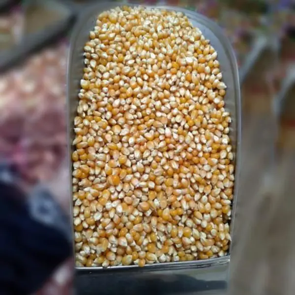 ذرت خام  فله ای - 6