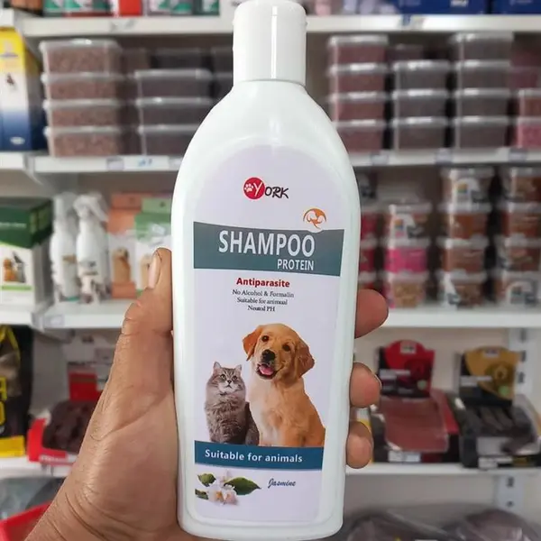 شامپو ضد کک و کنه حیوانات خانگی یورک مدل  Antiparasite حجم 500 میلی لیتر - 3
