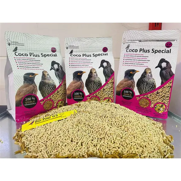 پلیت مرغ مینا کوکو پلاس coco plus - 3