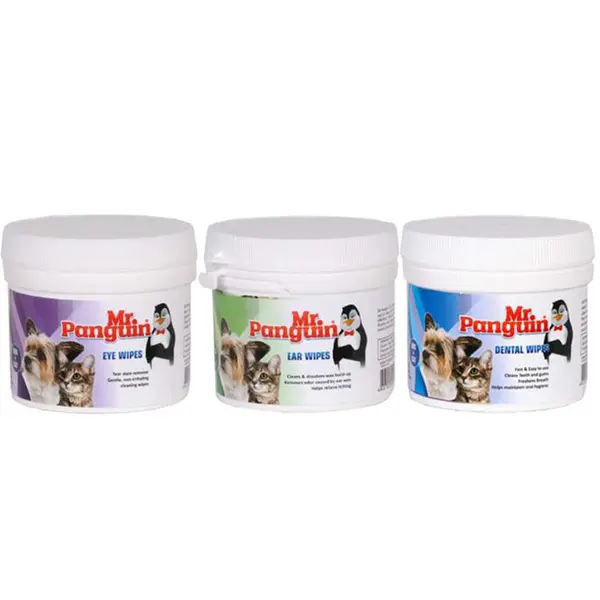 دستمال مرطوب مستر پنگوئن مدل dental wipe - 2