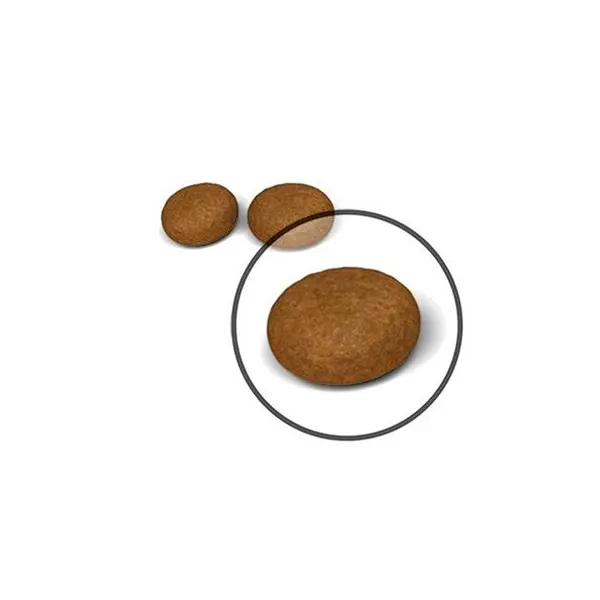 غذای خشک گربه بالغ رویال کنین مدل hair and skin وزن 2 کیلوگرم - 3