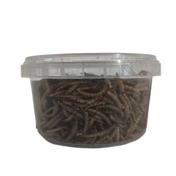 میلورم خشک شده پرندگان گلدن ماری مدل Meal worm وزن 50گرم - 2
