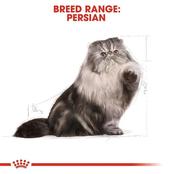 غذای خشک گربه پرشین ادالت رویال کنین(Royal Canin Cat Persian Adult) وزن 10 کیلوگرم - 3
