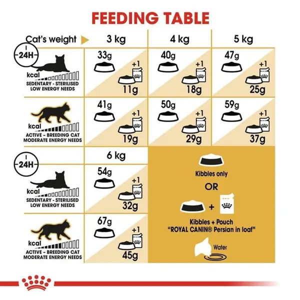 غذای خشک گربه پرشین ادالت رویال کنین(Royal Canin Cat Persian Adult) وزن 10 کیلوگرم - 4