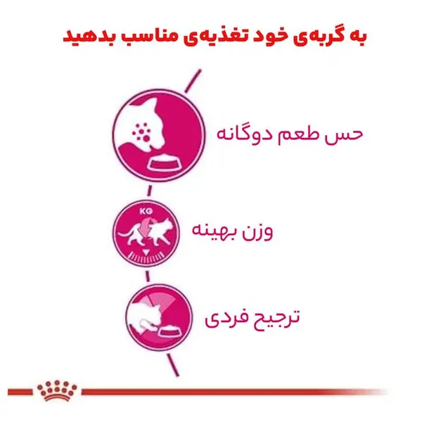 غذای خشک گربه رویال کنین مدل Savour Exigent وزن 2 کیلوگرم - 3