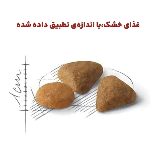غذای خشک گربه رویال کنین مدل Savour Exigent وزن 2 کیلوگرم - 2