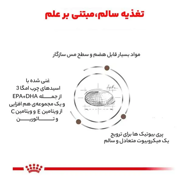 غذای خشک گربه رویال کنین مدل هپاتیک s/o index وزن 2 کیلوگرم - 4