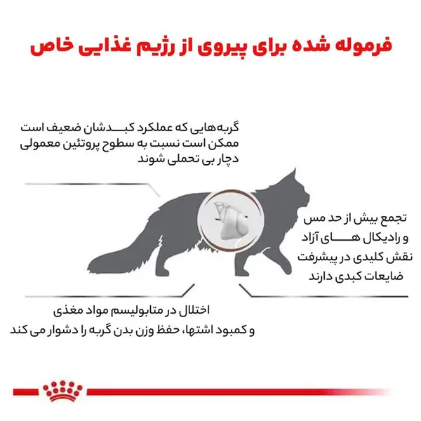 غذای خشک گربه رویال کنین مدل هپاتیک s/o index وزن 2 کیلوگرم - 3