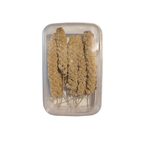 غذای پرنده مدل ارزن خوشه ای کد SP7 بسته 10 عددی - 4