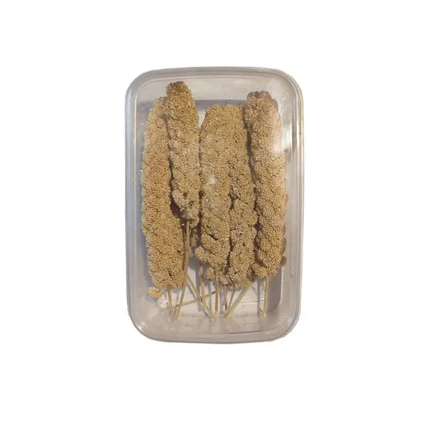غذای پرنده مدل ارزن خوشه ای کد SP7 بسته 10 عددی - 2