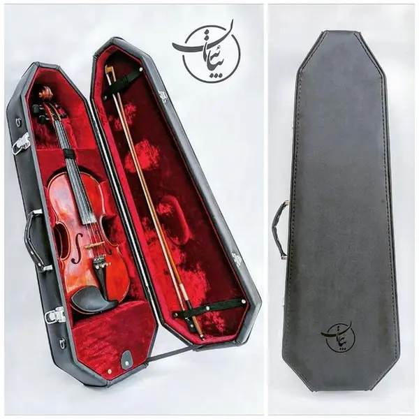 هاردکیس ویولن دیما Dima - 2