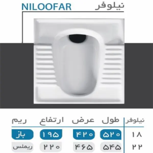 توالت زمینی نیلوفر گلسار فارس - 2