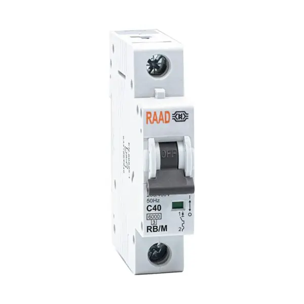 کلید مینیاتوری 1 پل 40 آمپر RB-M-1P-C40-6KA رعد - 2