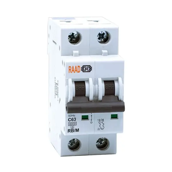 کلید مینیاتوری 2 پل 63 آمپر RB-M-2P-C63-6KA رعد - 2