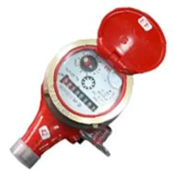 کنتور ایران انشعاب خانگی R125گرم 1/2 مدل Gs3 - 2
