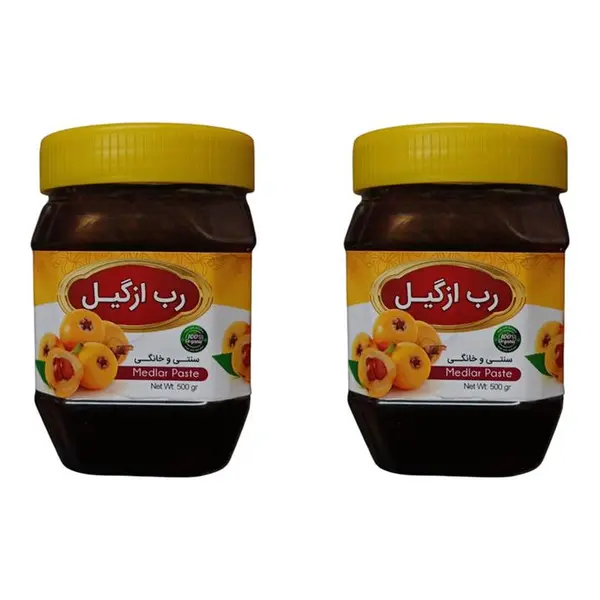 رب ازگیل سنتی جالینوس - 450 گرم بسته 2 عددی - 2