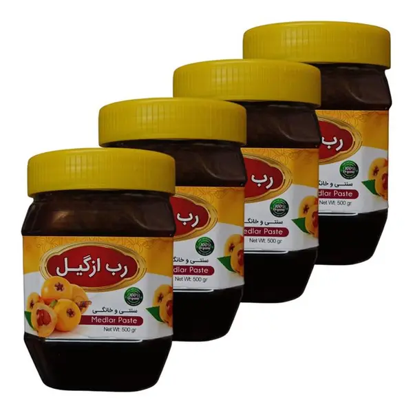 رب ازگیل سنتی جالینوس - 450 گرم بسته 4 عددی - 2