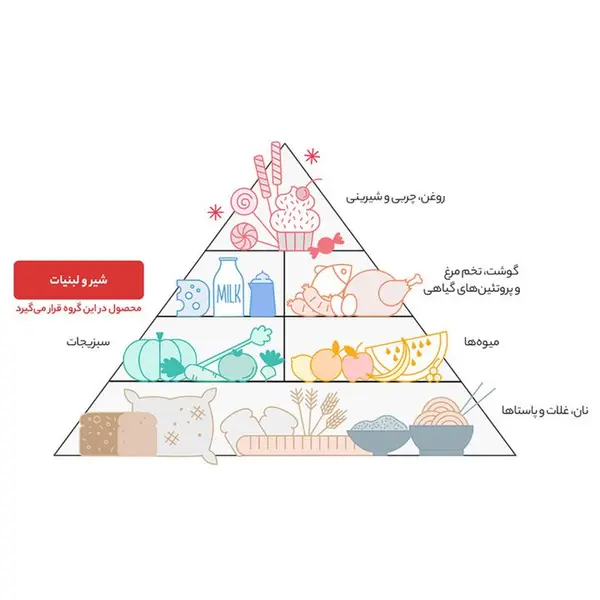 ماست موسیر دامداران مقدار 500 گرم - 4