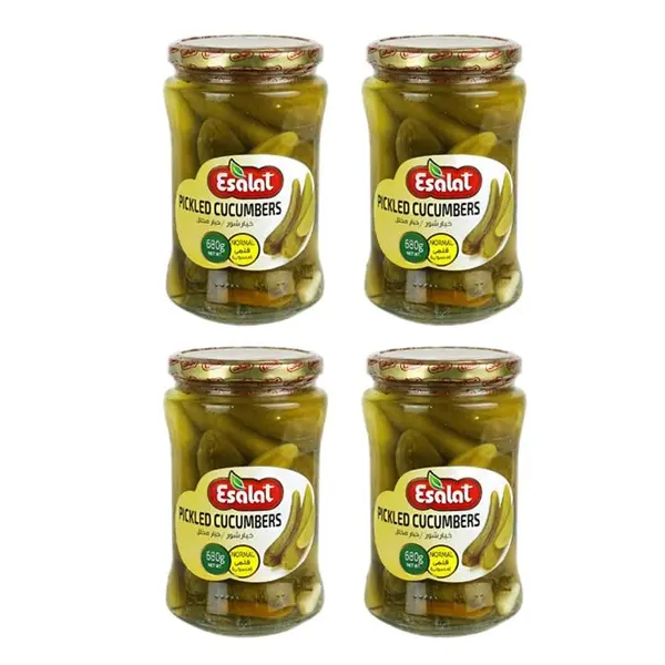 خیارشور قلمی اصالت _680 گرم - 3