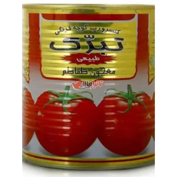 رب گوجه فرنگی 800 گرمی تبرک - 2