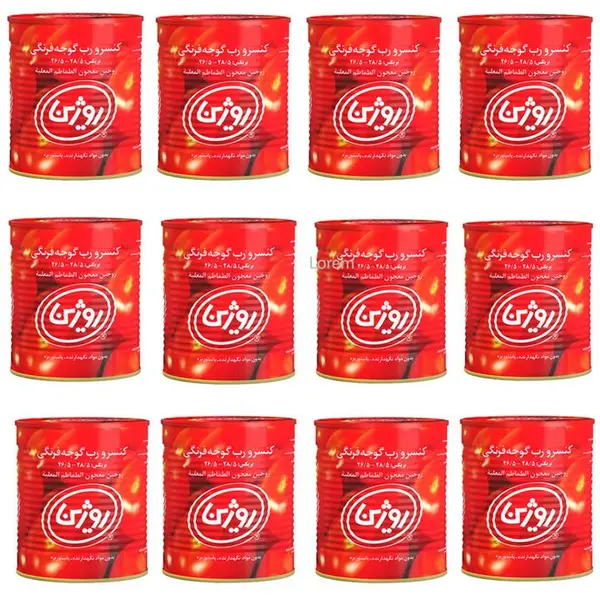رب گوجه فرنگی روژین - 800 گرم بسته 12 عددی - 2