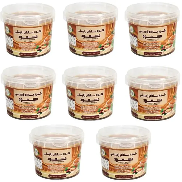 کره بادام زمینی رژیمی ساده مسعود - 250 گرم بسته 8 عددی - 4