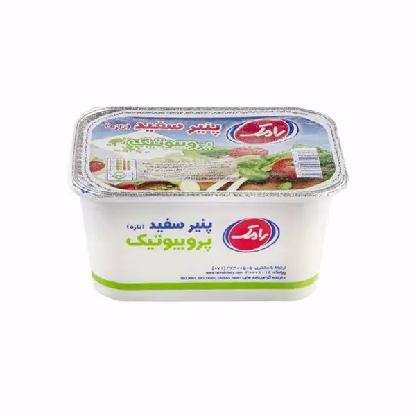 پنیر سفید پروبیوتیک رامک 400 گرمی - 6