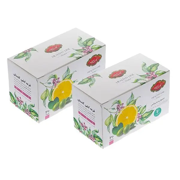 دمنوش دیتوکس گلستان بسته 20عددی - 2