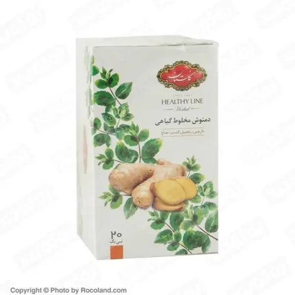 دمنوش مخلوط گیاهی انرژی با طعم زنجبیل 20 عددی گلستان - 4