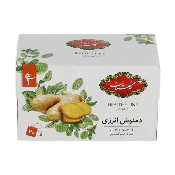 دمنوش مخلوط گیاهی انرژی با طعم زنجبیل 20 عددی گلستان - 2