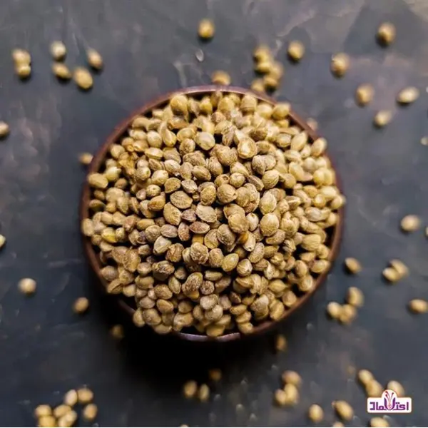 شاهدانه خام فله ای - 3