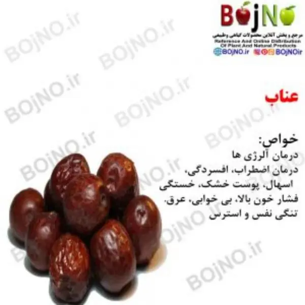 عناب (بسته 100گرمی) - 2