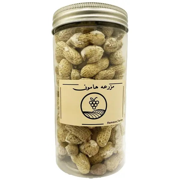بادام زمینی با پوست نمکی ممتاز مزرعه هامون - 240 گرم - 2