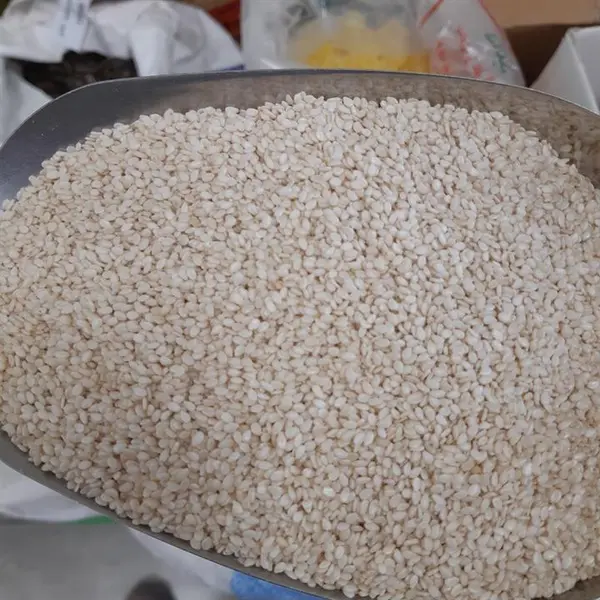 کنجد خام 250 گرمی - 2