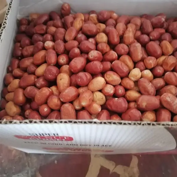 Lavashak