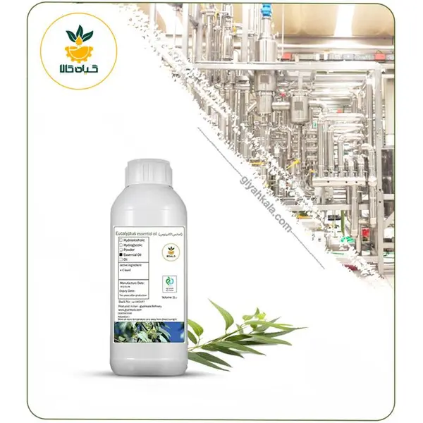 اسانس اکالیپتوس - 3