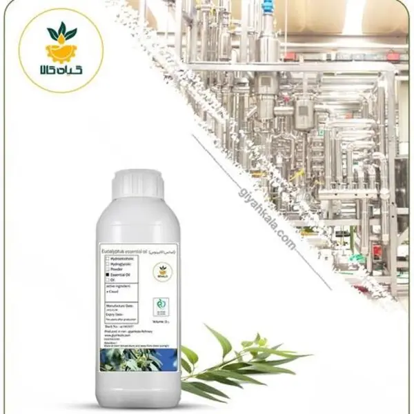 اسانس اکالیپتوس - 2
