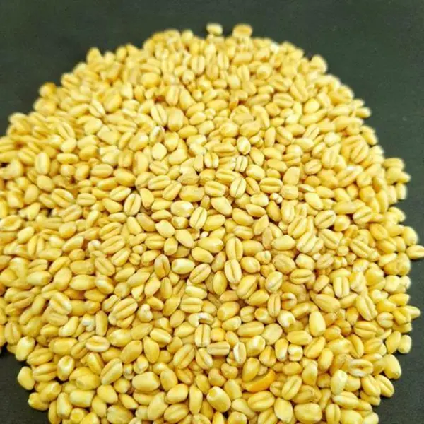 گندم پوست کنده فله ای - 2
