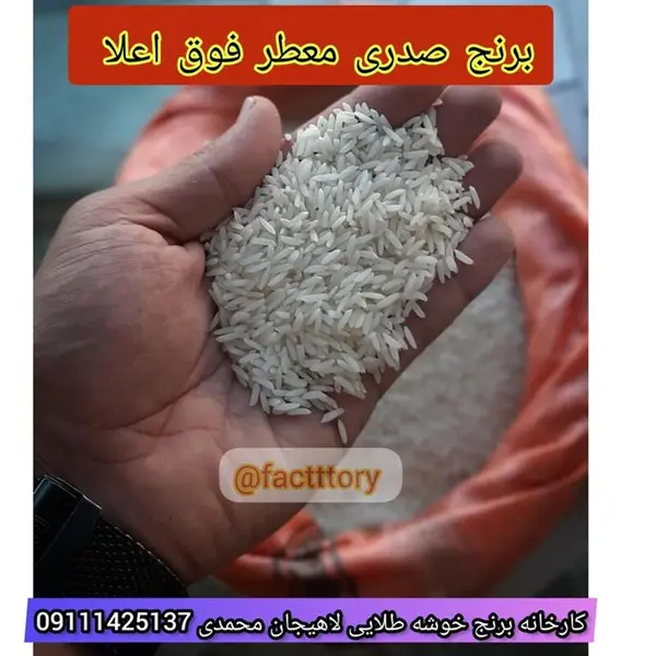 برنج صدری هاشمی فله - 5