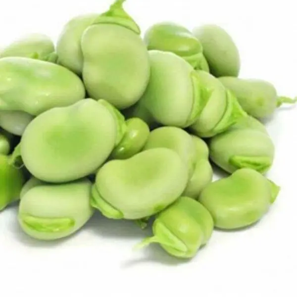 باقالی سبز پاک شده درجه یک کاشان (یک کیلوگرمی) - 4