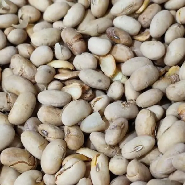 سویا آجیلی 500 گرمی - 2